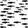 MD-18 Black Fish Decal Sheet