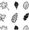 MD-46 Gold Leaves Decal Sheet